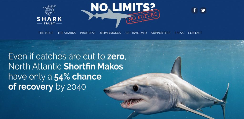 Shark Trust No Limits No Future website image