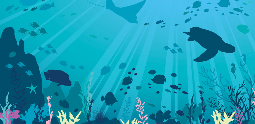 Wall art illustration for the National Marine Aquarium