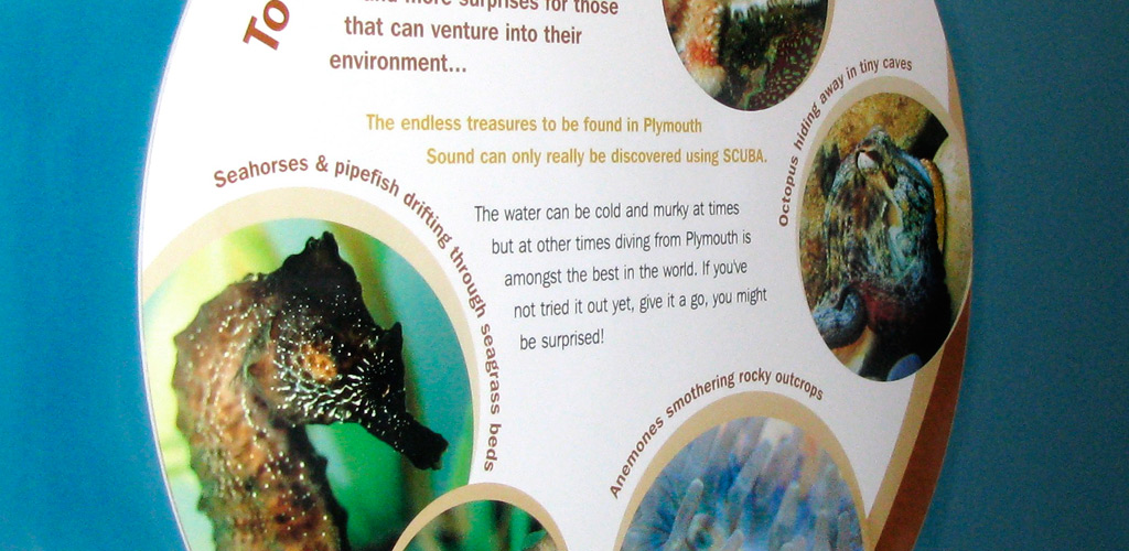 Exhibition display design for National Marine Aquarium