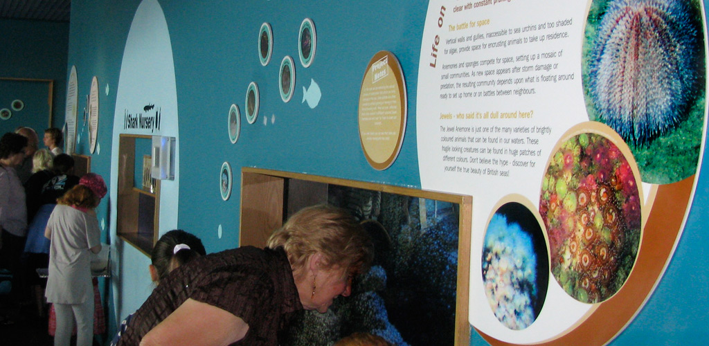 Exhibition display design for the National Marine Aquarium in Plymouth