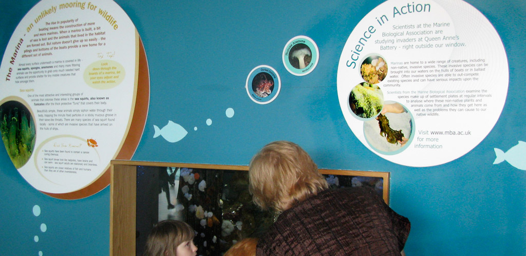 Exhibition display graphics at the National Marine Aquarium