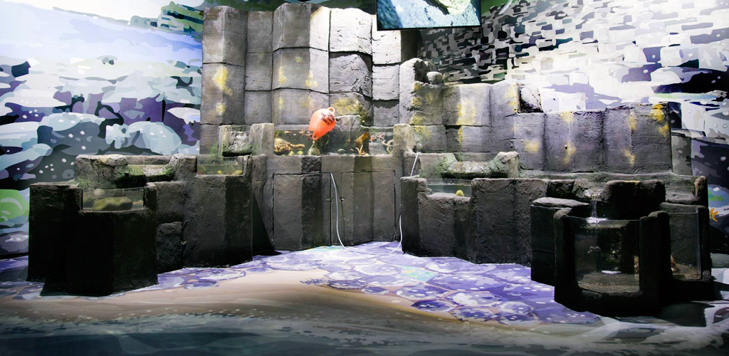 Sealife izone rockpool exhibition image