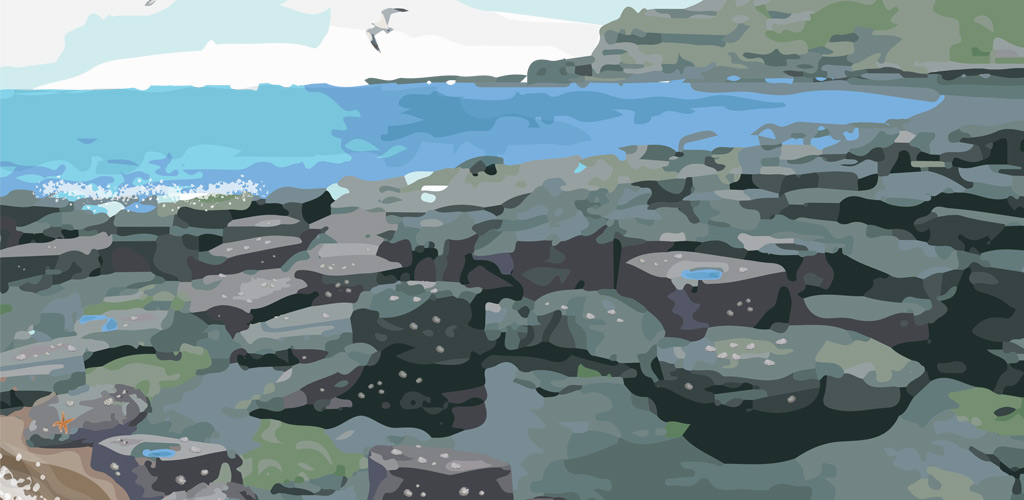 Wall illustration for Sealife rockpool area