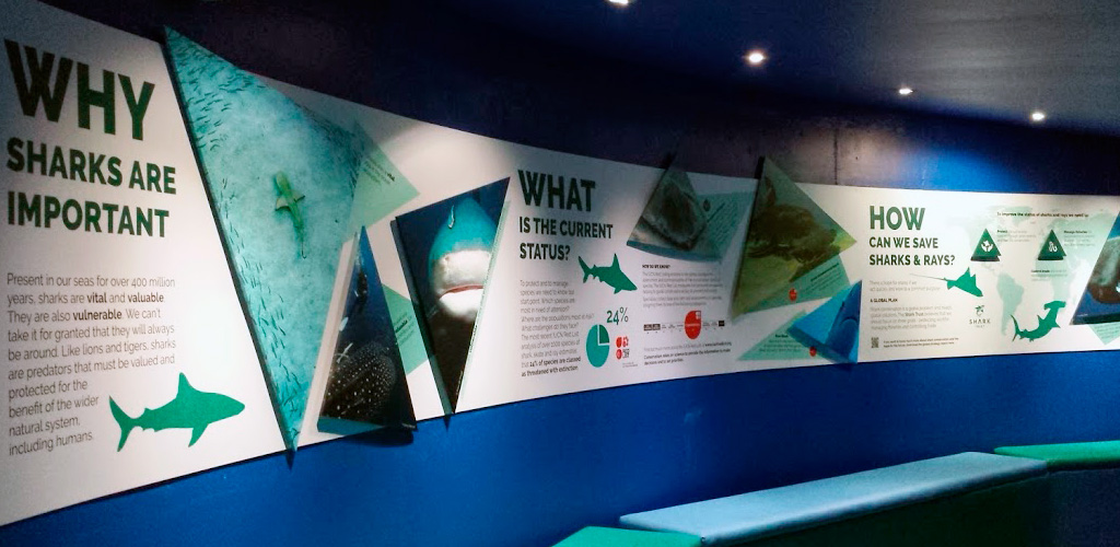 Shark Trust exhibition display graphics at National Marine Aquarium in Plymouth