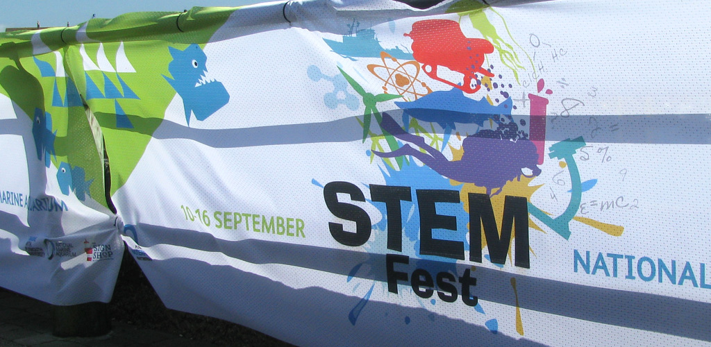 StemFest logo on banner