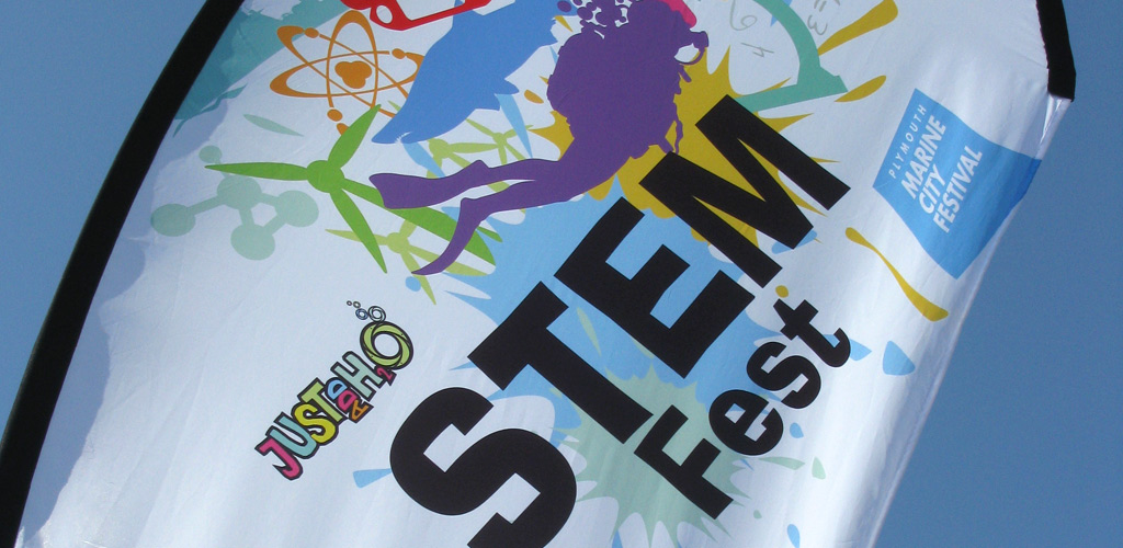 StemFest logo on flag