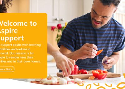 Website redesign for Aspire Support