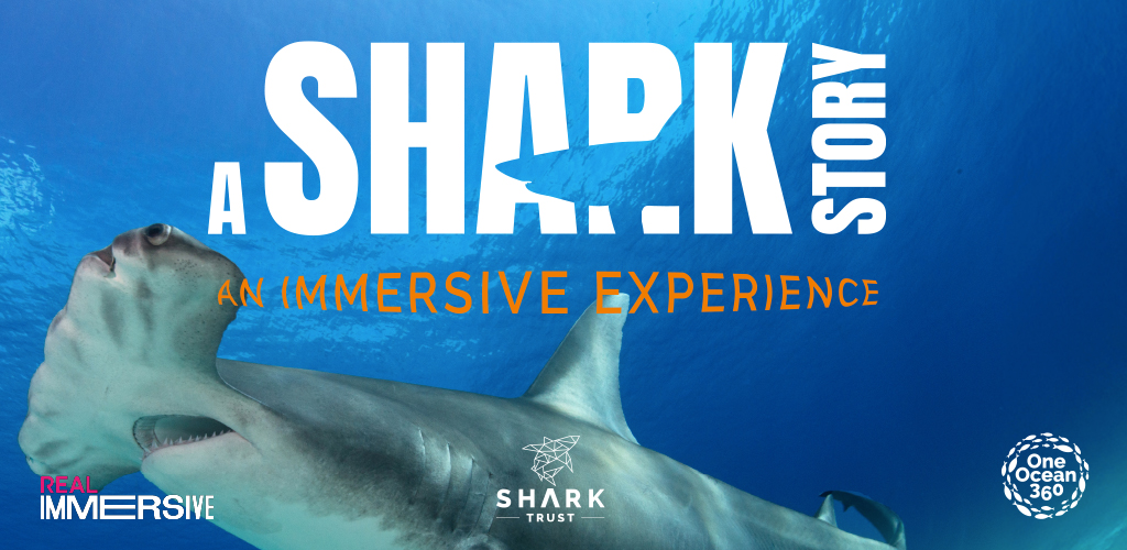 A-shark-story-film-title-1024x500 Poster advertising the film A Shark Story.