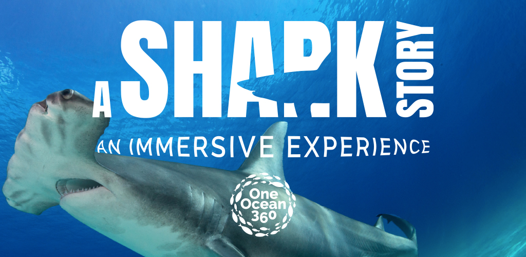 A-shark-story-film-title-2-1024x500px Visual identity for A Shark Story featured with the One Ocean 360 logo identity