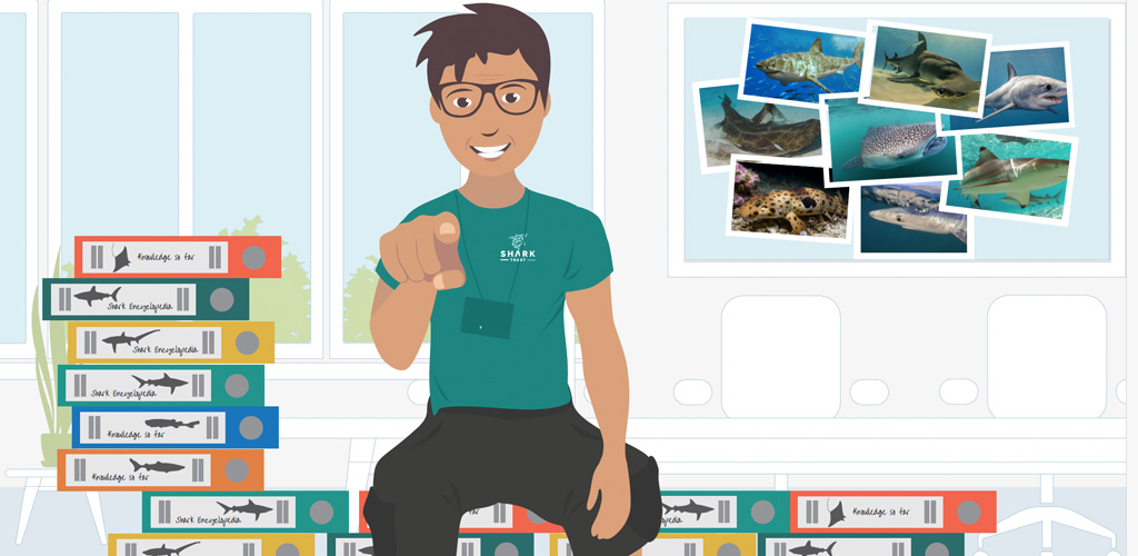 Shark Trust illustration for animation (03)1024x500 Illustration of main character from one of the videos