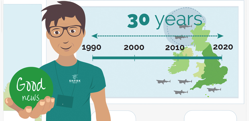 Shark Trust illustration for animation (06) 1024x500 Illustration of the main character in the animation