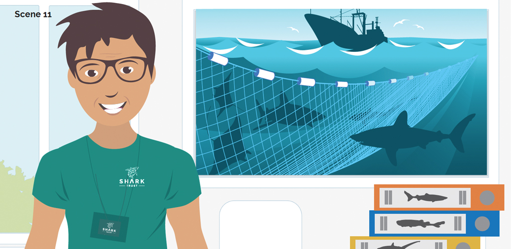 Shark Trust illustration for animation (08) 1024x500 Illustration from the animation